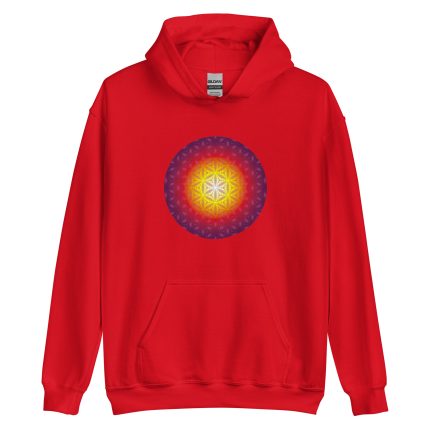 Unisex Hoodie - Ping Pong